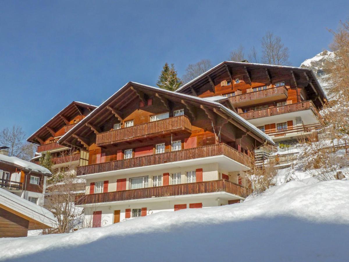 Apartment Plein Soleil By Interhome Wengen Eksteriør bilde