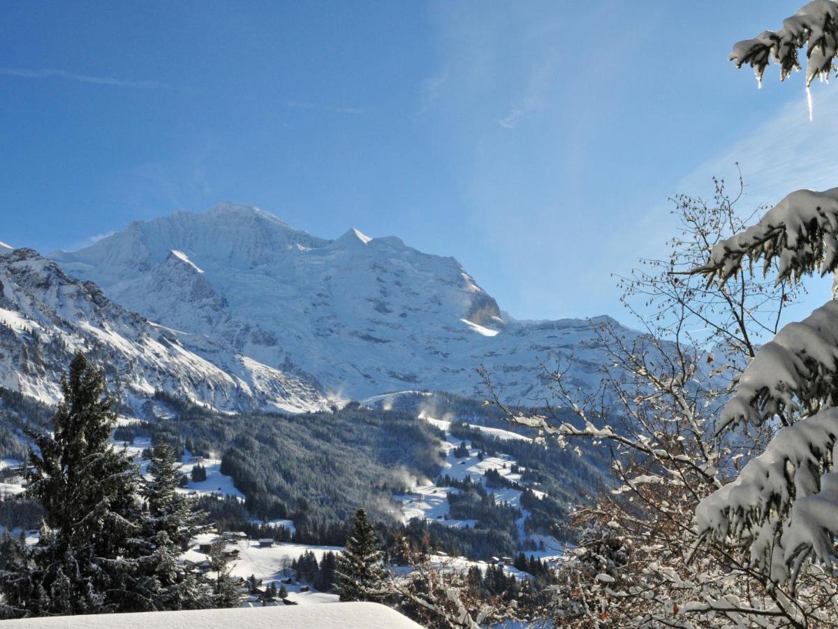 Apartment Plein Soleil By Interhome Wengen Eksteriør bilde